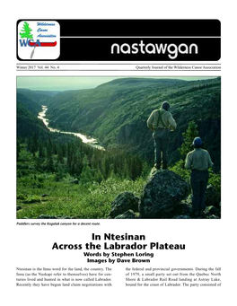 In Ntesinan Across the Labrador Plateau Words by Stephen Loring Images by Dave Brown Ntesinan Is the Innu Word for the Land, the Country
