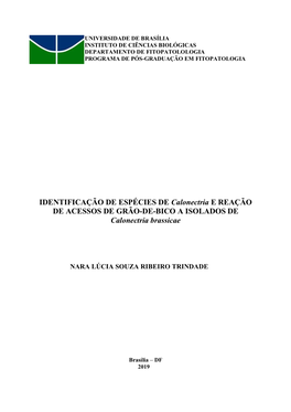 IDENTIFICAÇÃO DE ESPÉCIES DE Calonectria E REAÇÃO DE ACESSOS DE GRÃO-DE-BICO a ISOLADOS DE Calonectria Brassicae