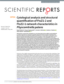 Cytological Analysis and Structural Quantification of Ftsz1-2 and Ftsz2