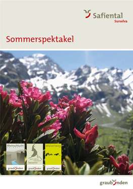 Sommerspektakel Übersichtsplan