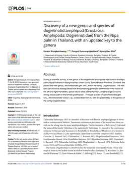 Crustacea: Amphipoda: Dogielinotidae) from the Nipa Palm in Thailand, with an Updated Key to the Genera