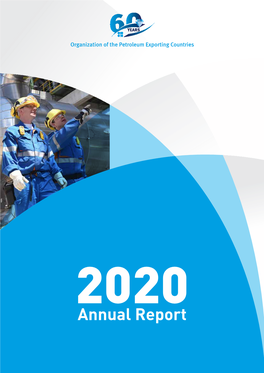 Annual Report 2020