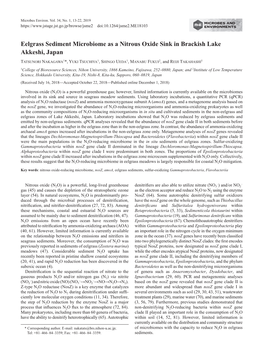 Eelgrass Sediment Microbiome As a Nitrous Oxide Sink in Brackish Lake Akkeshi, Japan