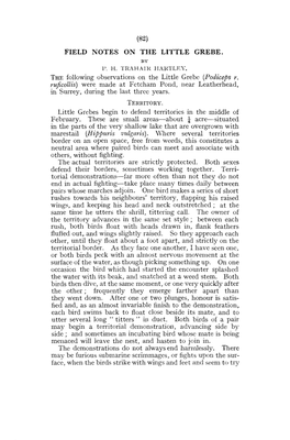 (82) FIELD NOTES on the LITTLE GREBE. the Following Observations on the Little Grebe (Podiceps R. Ruficollis) Were Made at Fetch