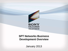 SPT Networks Business Development Overview January 2013