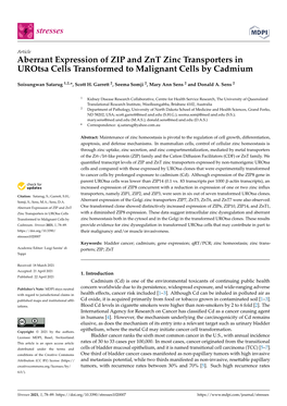Aberrant Expression of ZIP and Znt Zinc Transporters in Urotsa Cells Transformed to Malignant Cells by Cadmium