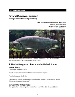 ERSS-Payara (Hydrolycus Armatus)