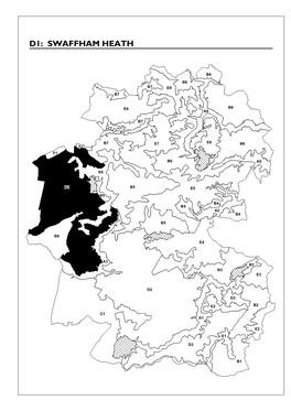 D1: Swaffham Heath