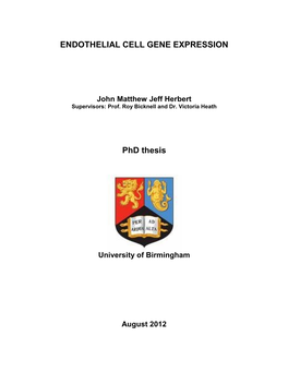 Environmental Influences on Endothelial Gene Expression