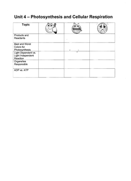 Photosynthesis and Cellular Respiration