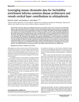 Leveraging Mouse Chromatin Data for Heritability Enrichment Informs Common Disease Architecture and Reveals Cortical Layer Contributions to Schizophrenia