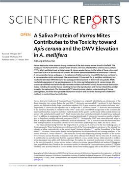 A Saliva Protein of Varroa Mites Contributes to the Toxicity Toward Apis Cerana and the DWV Elevation Received: 10 August 2017 Accepted: 9 February 2018 in A