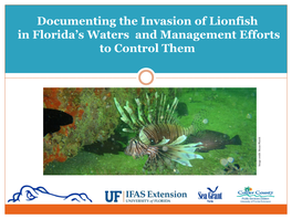 Documenting the Invasion of Lionfish in Florida's Waters And