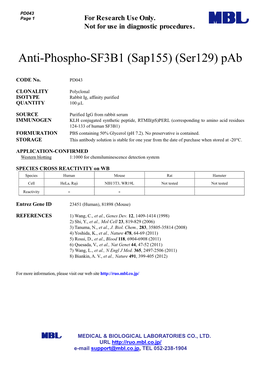 Anti-Phospho-SF3B1 (Sap155) (Ser129) Pab