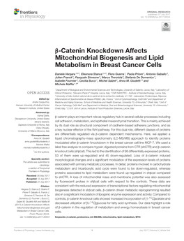 Β-Catenin Knockdown Affects Mitochondrial Biogenesis and Lipid Metabolism in Breast Cancer Cells