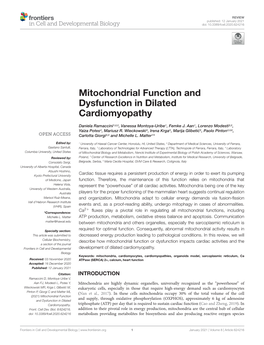 Mitochondrial Function and Dysfunction in Dilated Cardiomyopathy