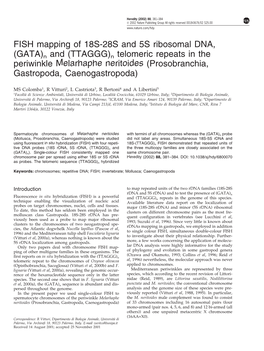 FISH Mapping of 18S-28S and 5S Ribosomal DNA, (GATA)N