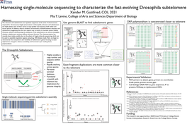 Harnessing Single-Molecule Sequencing to Characterize the Fast-Evolving Drosophila Subtelomere Xander M