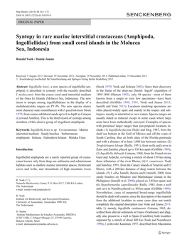 Syntopy in Rare Marine Interstitial Crustaceans (Amphipoda, Ingolfiellidae) from Small Coral Islands in the Molucca Sea, Indonesia