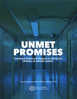 Unmet Promises: Continued Violence and Neglect in California's Division