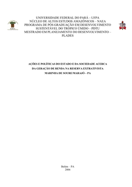 Ufpa Núcleo De Altos Estudos Amazônicos – Naea