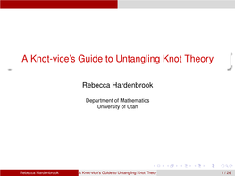 A Knot-Vice's Guide to Untangling Knot Theory, Undergraduate