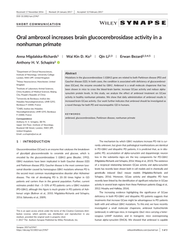 Oral Ambroxol Increases Brain Glucocerebrosidase Activity in a Nonhuman Primate