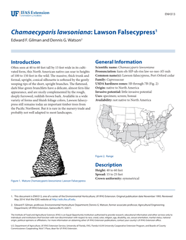 Chamaecyparis Lawsoniana: Lawson Falsecypress1 Edward F