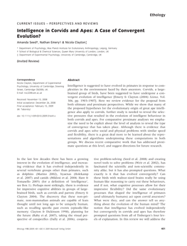 Intelligence in Corvids and Apes: a Case of Convergent Evolution? Amanda Seed*, Nathan Emery & Nicola Claytonà