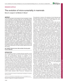 The Evolution of Micro-Cursoriality in Mammals