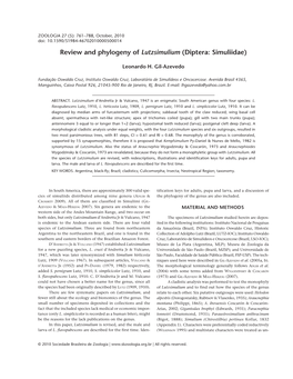 Review and Phylogeny of Lutzsimulium (Diptera: Simuliidae)