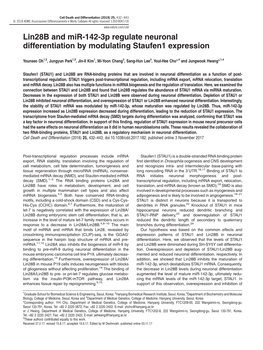 Lin28b and Mir-142-3P Regulate Neuronal Differentiation by Modulating Staufen1 Expression
