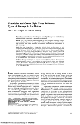 Ultraviolet and Green Light Cause Different Types of Damage in Rat Retina