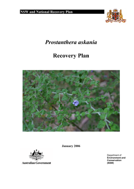 Prostanthera Askania Recovery Plan