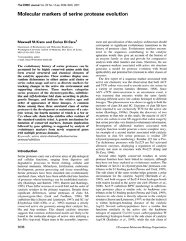 Molecular Markers of Serine Protease Evolution