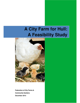 A City Farm for Hull: a Feasibility Study