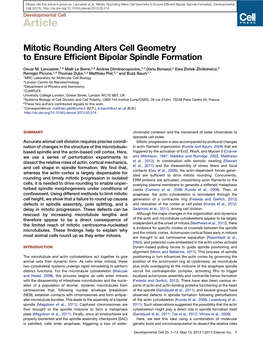 Mitotic Rounding Alters Cell Geometry to Ensure Efficient Bipolar Spindle Formation