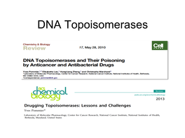 DNA Topoisomerases and Cancer Topoisomerases and TOP Genes in Humans Humans Vs