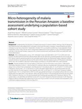 Micro-Heterogeneity of Malaria Transmission in the Peruvian Amazon