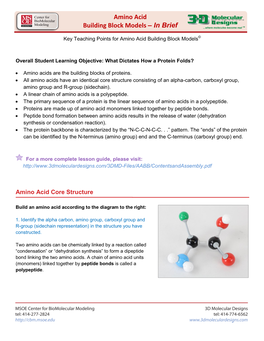 Amino Acid Building Block Models – in Brief