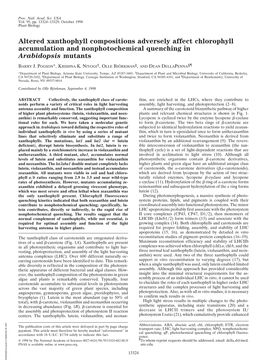 Altered Xanthophyll Compositions Adversely Affect Chlorophyll Accumulation and Nonphotochemical Quenching in Arabidopsis Mutants