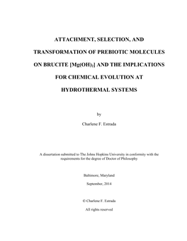 ATTACHMENT, SELECTION, and TRANSFORMATION of PREBIOTIC MOLECULES on BRUCITE [Mg(OH)2]