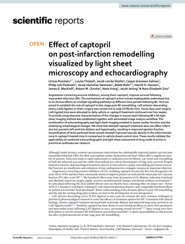 Effect of Captopril on Post-Infarction Remodelling Visualized by Light