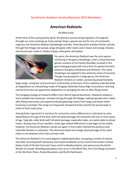 American Redstarts