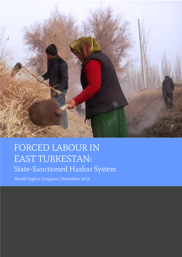 Forced Labour in East Turkestan: State-Sanctioned Hashar System