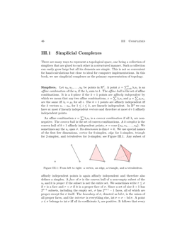 Simplicial Complexes