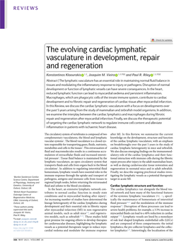 The Evolving Cardiac Lymphatic Vasculature in Development, Repair and Regeneration