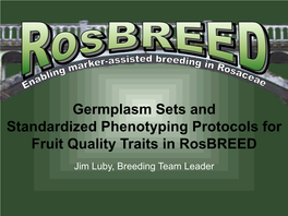 Germplasm Sets and Standardized Phenotyping Protocols for Fruit Quality Traits in Rosbreed