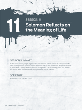 Solomon Reflects on the Meaning of Life