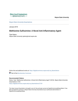 Methionine Sulfoximine: a Novel Anti Inflammatory Agent